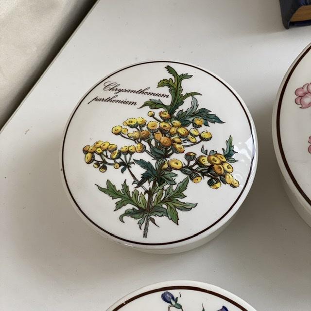 Шкатулка Botanica Chrysantemum 11 см ВиллеройБох