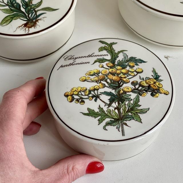 Шкатулка Botanica Chrysantemum 11 см ВиллеройБох