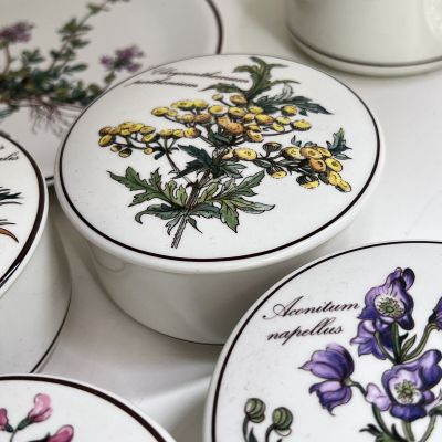 Шкатулка Botanica Chrysantemum 11 см ВиллеройБох