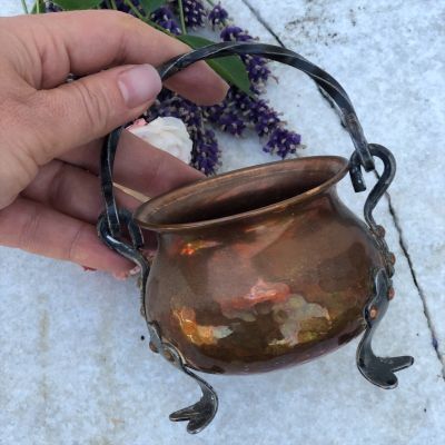 Зольник малый медь