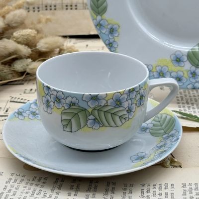 Чайное трио Schumann Arzberg 250 мл Бавария  