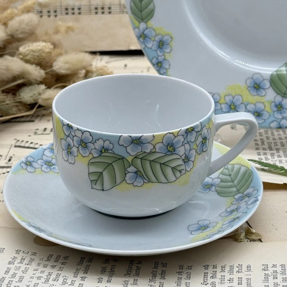 Чайное трио Schumann Arzberg 250 мл Бавария  