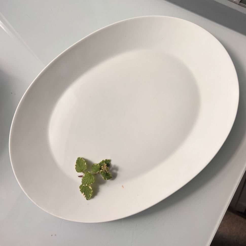 Блюдо овальное Rosenthal 40 см фарфор Германия