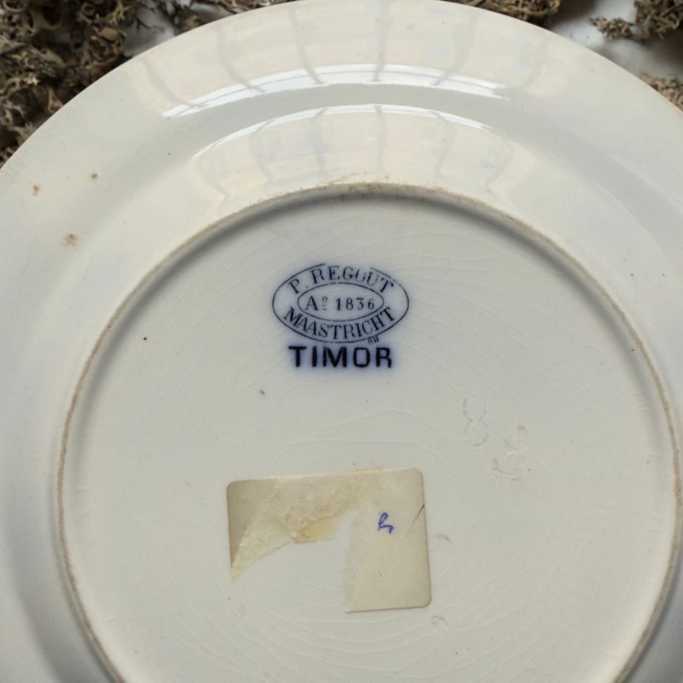 Тарелка Maastricht Petrus Regout Timor 26 см 1860-70 гг. Голландия