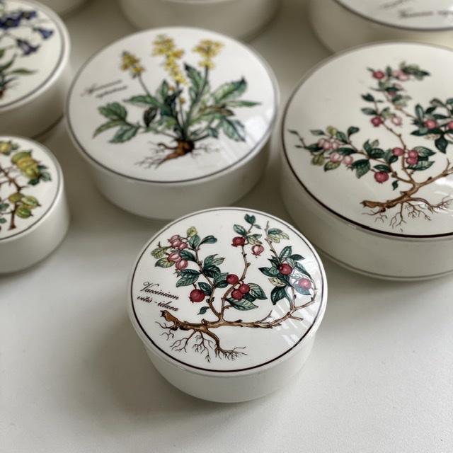 Шкатулка Botanica Vaccinium vitis-idaea 11 см ВиллеройБох