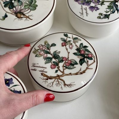 Шкатулка Botanica Vaccinium vitis-idaea 11 см ВиллеройБох