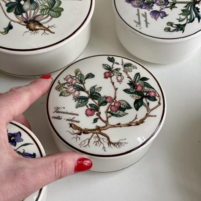 Шкатулка Botanica Vaccinium vitis-idaea 11 см ВиллеройБох