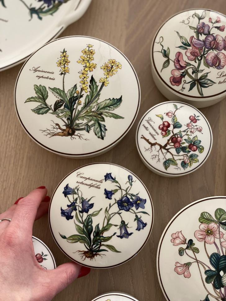 Шкатулка Botanica Vaccinium vitis-idaea 11 см ВиллеройБох