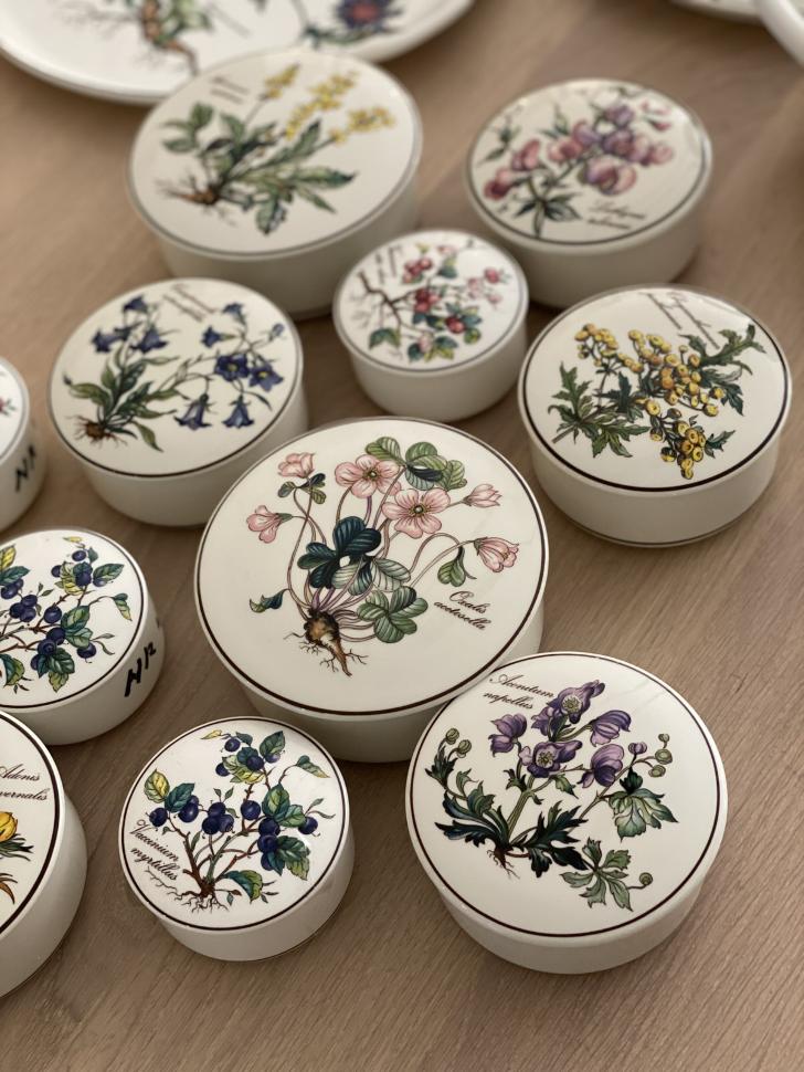 Шкатулка Botanica Vaccinium vitis-idaea 11 см ВиллеройБох