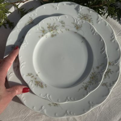 Тарелка столовая Rosenthal Monbijou Полевые цветы 26 см фарфор Германия