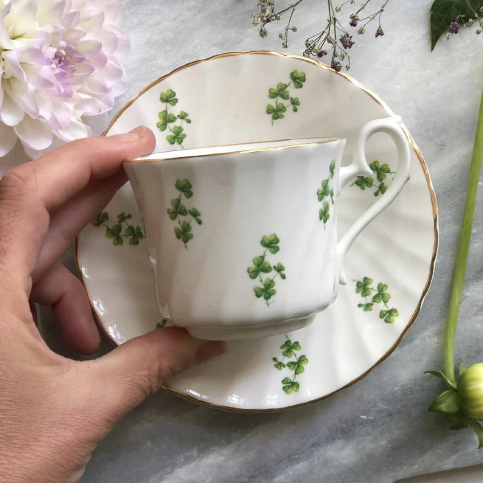Чайная пара Delfesta Staffordshire Англия