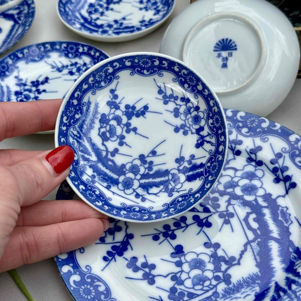 Розетка Синяя Сакура 9 см Япония