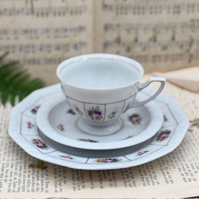 Чайная пара Rosenthal Maria Classic Rose Роза 220 мл Германия 