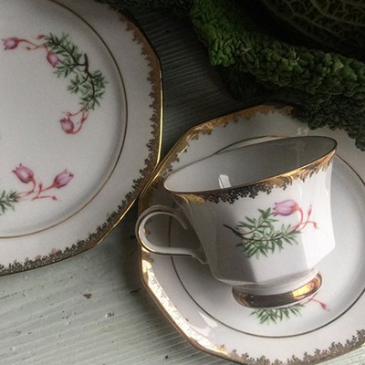 Кофейная пара прорезное блюдце Svaneholm 1530 Flora Alpina, Швеция