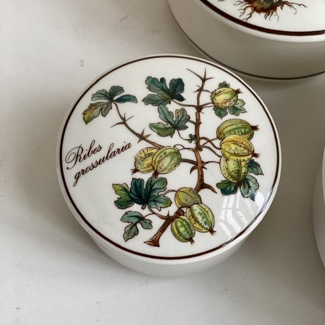 Шкатулка Botanica Ribes grossularia 8 см ВиллеройБох