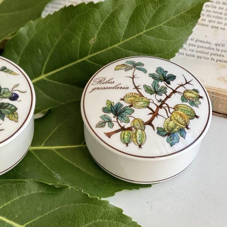 Шкатулка Botanica Ribes grossularia 8 см ВиллеройБох