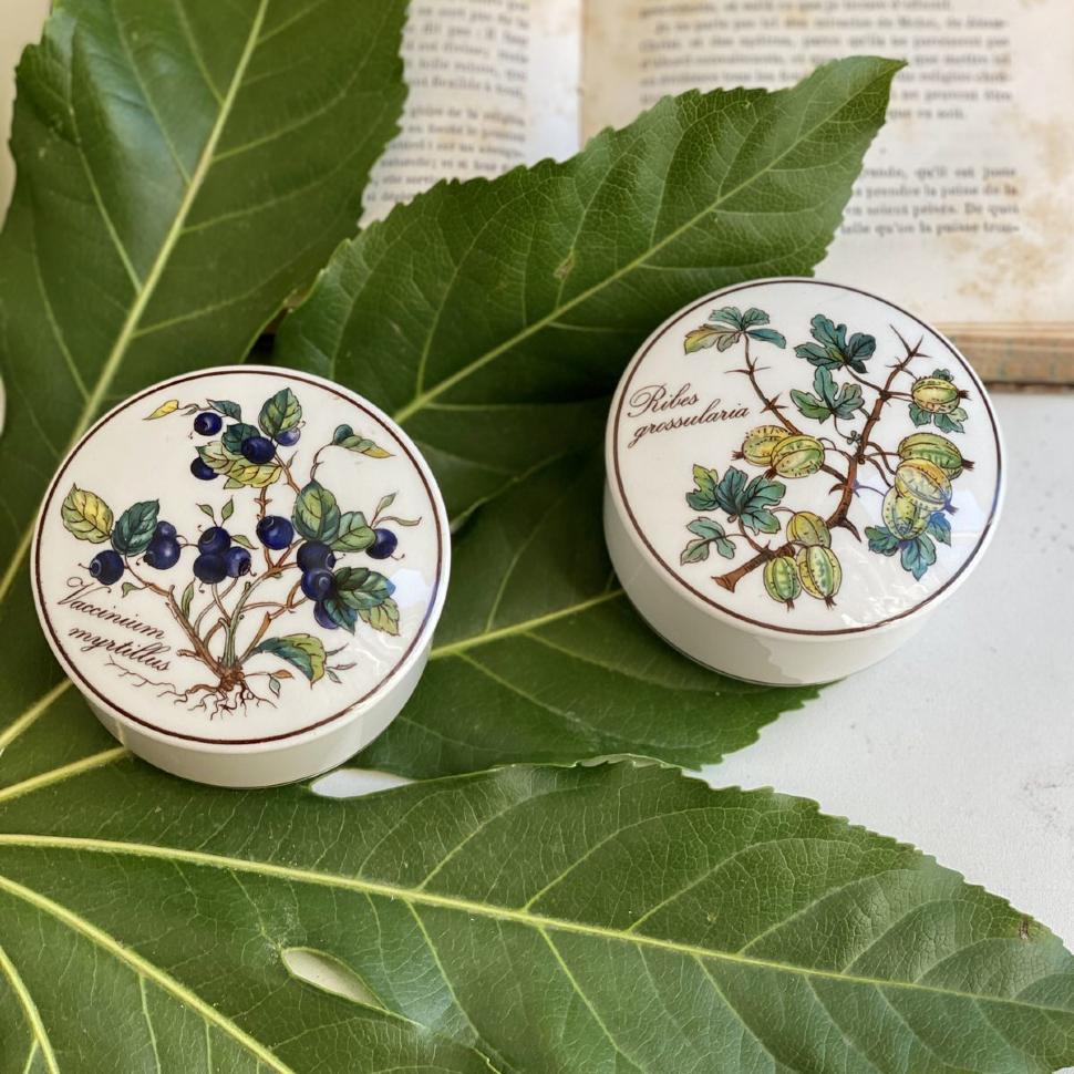 Шкатулка Botanica Ribes grossularia 8 см ВиллеройБох
