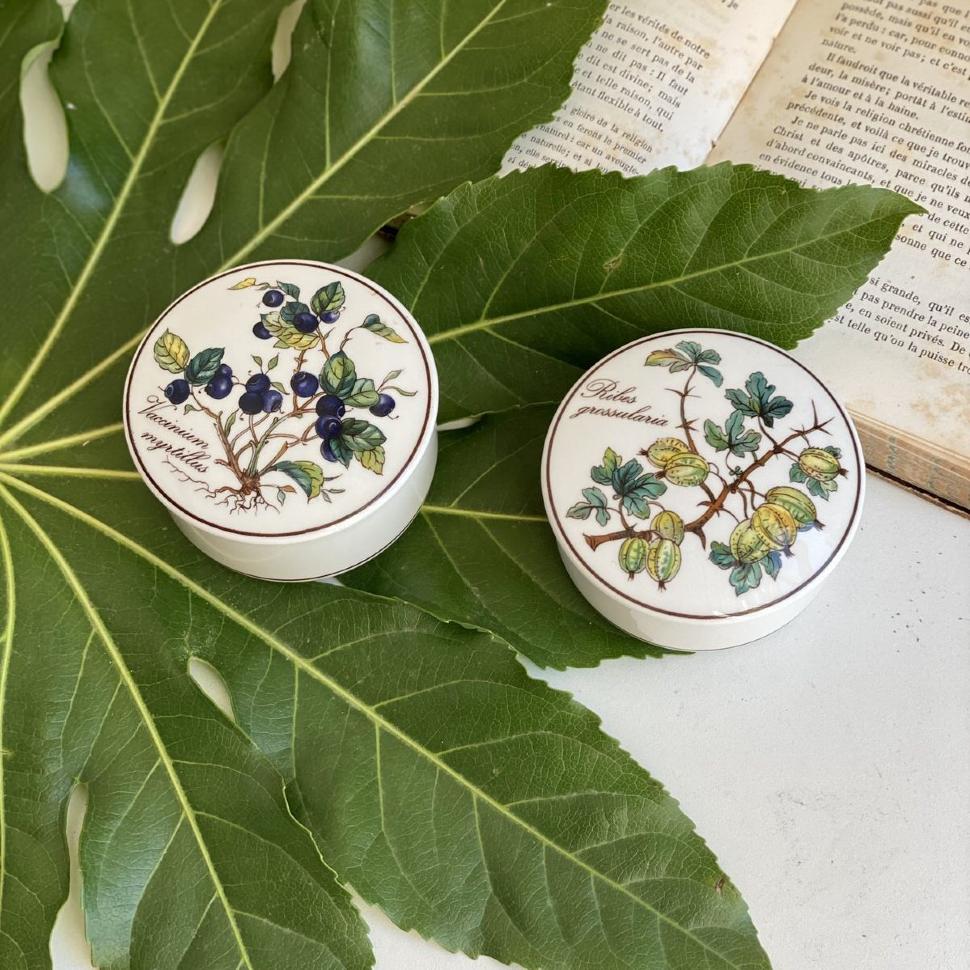 Шкатулка Botanica Ribes grossularia 8 см ВиллеройБох