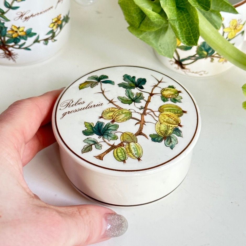 Шкатулка Botanica Ribes grossularia 8 см ВиллеройБох