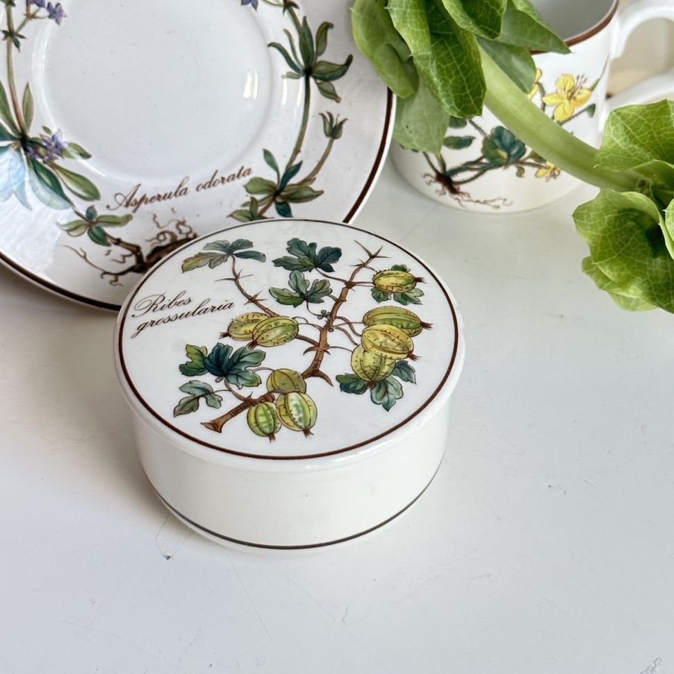 Шкатулка Botanica Ribes grossularia 8 см ВиллеройБох