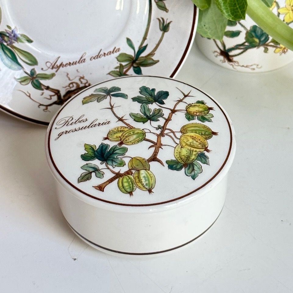 Шкатулка Botanica Ribes grossularia 8 см ВиллеройБох