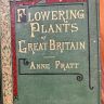 Литография 14х22 см Flowering Plants by Anne Pratt № 202 Англия