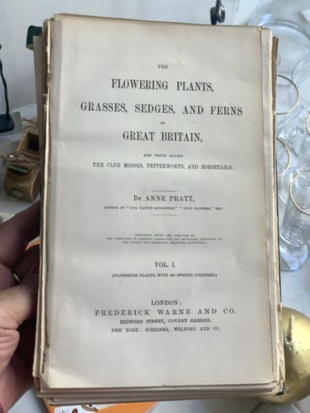 Литография 14х22 см Flowering Plants by Anne Pratt № 202 Англия