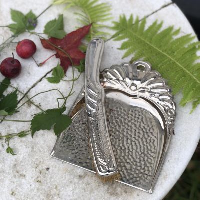 Щетка и совок хромирование 