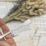 Ложка и лопатка набор десертный 8 предметов нейзильбер Эстонская ССР