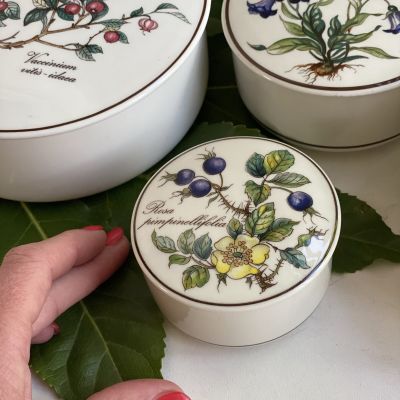 Шкатулка Botanica ВиллеройБох 8 см Rosa pimpinellifolia