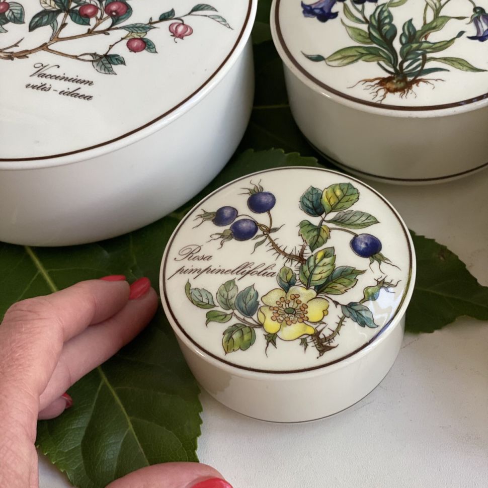 Шкатулка Botanica ВиллеройБох 8 см Rosa pimpinellifolia