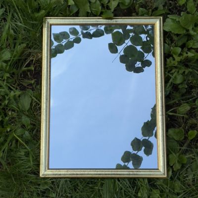 Зеркало на бюст в деревянной раме 32х42 см