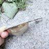 Ситечко для чая с ручкой Парусник 10 см серебрение 