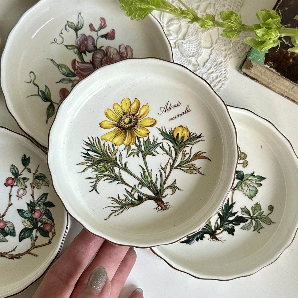 Форма для крем-брюле Botanica Адонис ВиллеройБох 12 см 