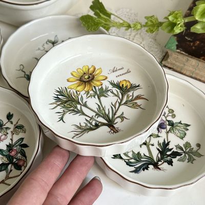 Форма для крем-брюле Botanica ВиллеройБох 12 см