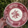 Тарелка Spode Pink Camilla 26 см фарфор Англия 2 категория