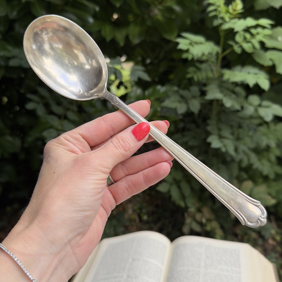 Ложка салатная Martin 25 см серебрение Германия