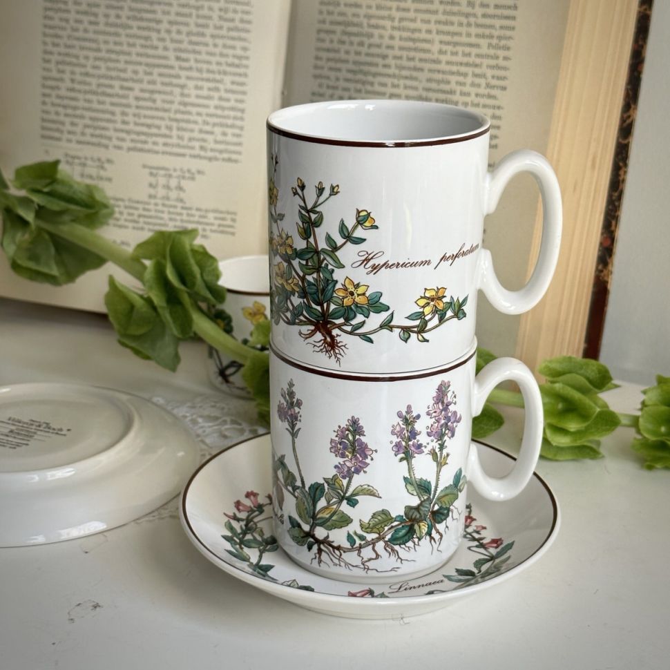 Кружка Виллерой Бох Botanica 280 мл Люксембург