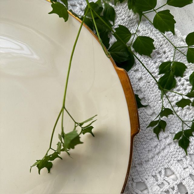 Блюдо с ручками Heinrich&Co Selb Bavaria 29 см фарфор