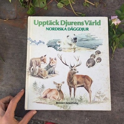 Энциклопедия Дикие животные