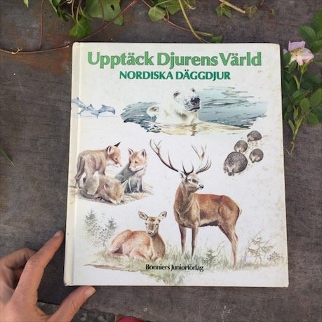 Энциклопедия Дикие животные