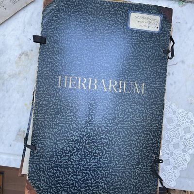 Лист гербария Hans Nilsson Швеция