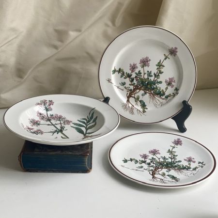 Тарелка глубокая Botanica Valeriana officinalis ВиллеройБох 22 см 2 категория
