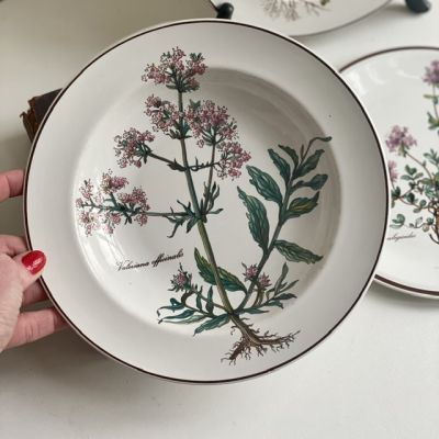 Тарелка глубокая Botanica Valeriana officinalis ВиллеройБох 22 см 2 категория