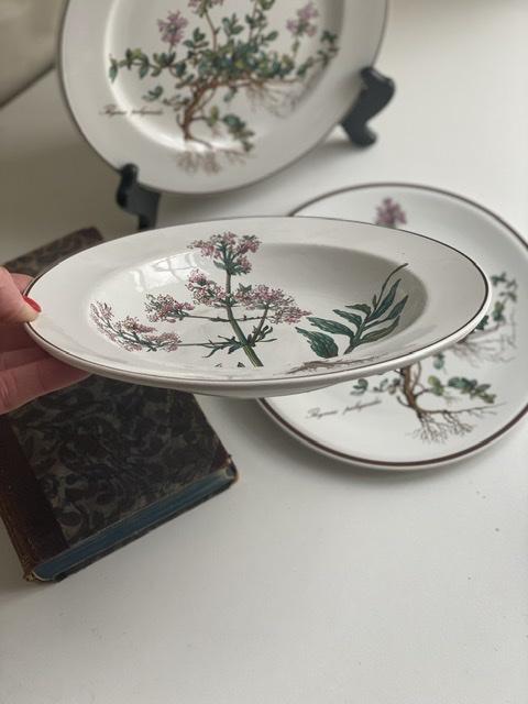 Тарелка глубокая Botanica Valeriana officinalis ВиллеройБох 22 см 2 категория