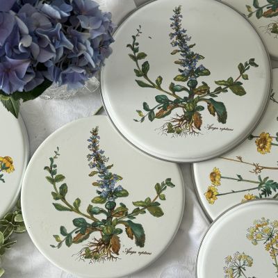 Накладка эмалированная Botanica ВиллеройБох 20 см на плиту