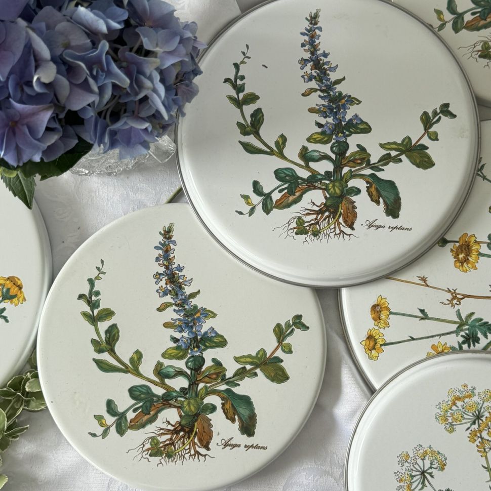 Накладка эмалированная Botanica ВиллеройБох 20 см на плиту