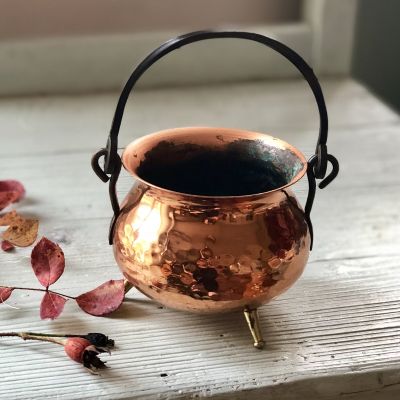 Зольник медный малый