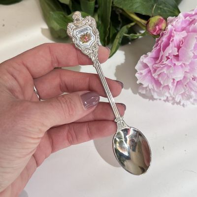 Ложка чайная 13 см сталь эмаль