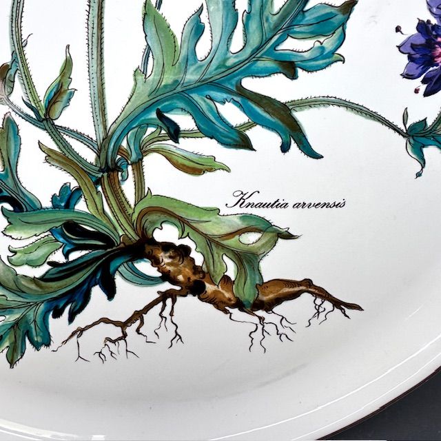 Блюдо Botanica с ручками 30 см ВилеройБох